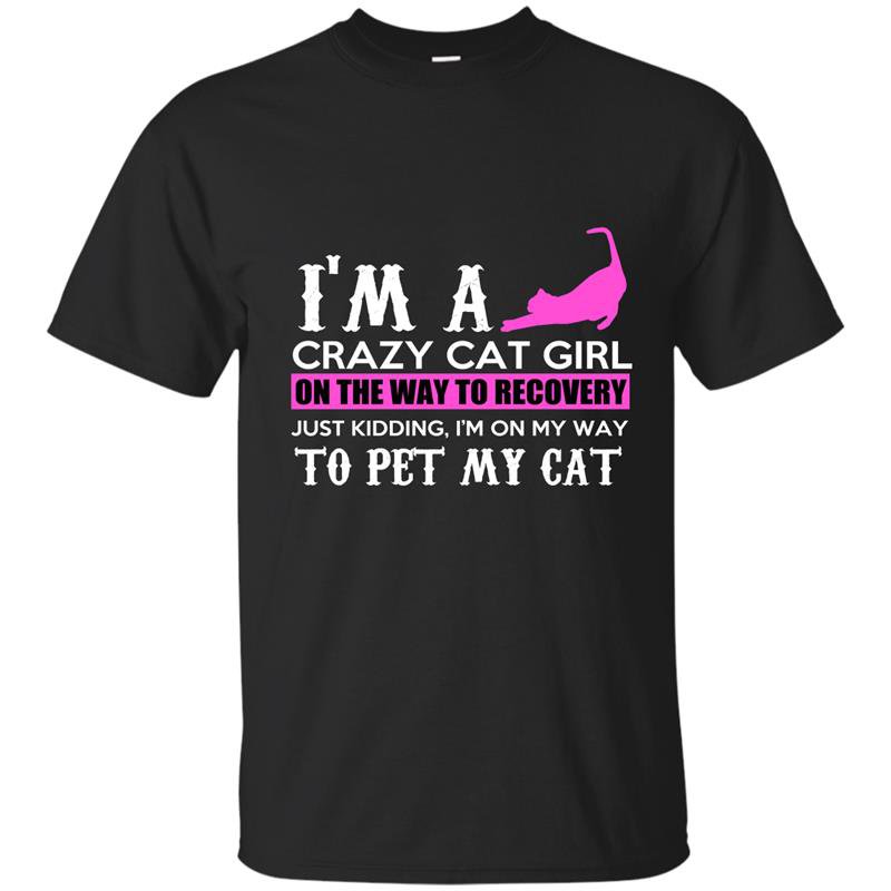 Im a crazy cat girl on the way to recovery t-shirt