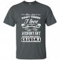 There arent many things i love more than an accountant but one of them is being a grandma t-shirt