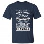 There arent many things i love more than an accountant but one of them is being a grandma t-shirt