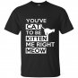 Youve cat to be kitten me right meow t-shirt