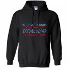 Introverts unite occasionally in small groups funny Hoodie