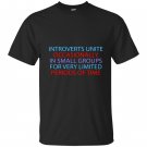 Introverts unite occasionally in small groups funny T-shirt