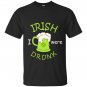 Irish i were drunk happy patricks day T-shirt