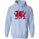 Welsh red dragon flag of wales Hoodie
