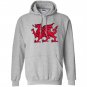 Welsh red dragon flag of wales Hoodie