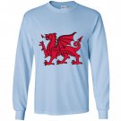Welsh red dragon flag of wales Long Sleeve