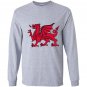 Welsh red dragon flag of wales Long Sleeve
