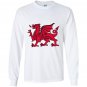 Welsh red dragon flag of wales Long Sleeve