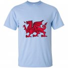 Welsh red dragon flag of wales T-shirt