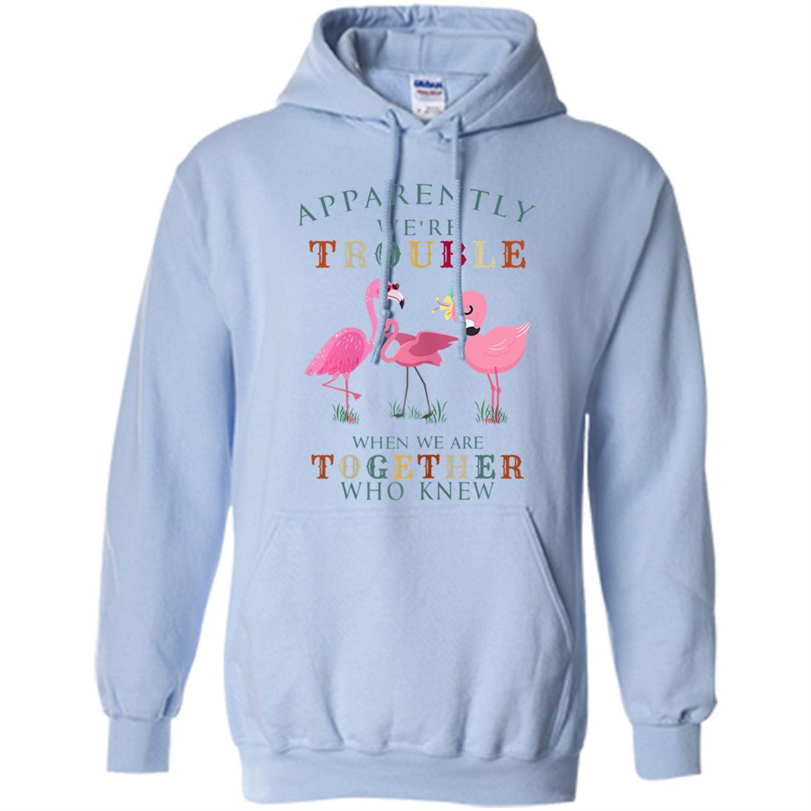 Apparently were trouble when we are together flamingo Hoodie