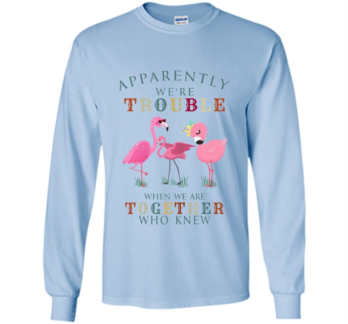 Apparently were trouble when we are together flamingo Long Sleeve