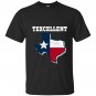Texcellent texas state flag texan T-shirt