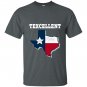 Texcellent texas state flag texan T-shirt