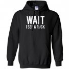 Geology funny mineral collector Hoodie