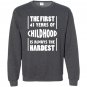 41 years old birthday gift 41st b day funny Sweatshirt
