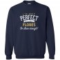Flores family reunion Sweatshirt