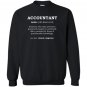 Funny accountant dictionary meaning definition Sweatshirt