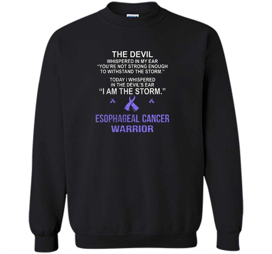 I am the storm esophageal cancer warrior Sweatshirt