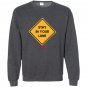 Jordan 13 melo stay in your lane Sweatshirt