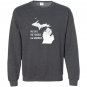 Lake michigan funny no sharks salt worries born home Sweatshirt