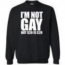 Loo show im not gay but 20 bucks is 20 bucks workout graphic Sweatshirt