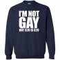 Loo show im not gay but 20 bucks is 20 bucks workout graphic Sweatshirt