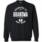 Promoted to grandma 2016 Sweatshirt