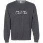 Solidarity the future is accessible Sweatshirt