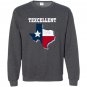 Texcellent texas state flag texan Sweatshirt