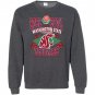 Vintage 90s Washington State University WSU Sweatshirt