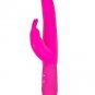 Sili Rabbit