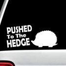 Pushed To The HEDGE Hedgehog Decal Sticker for Car Window BG170 sonic skateboard