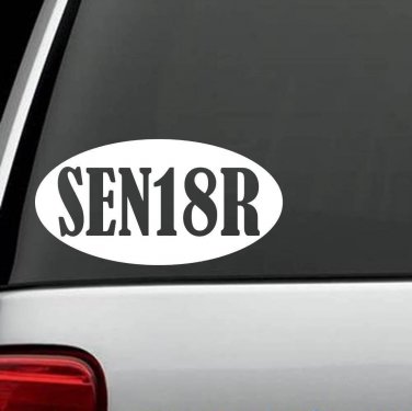 25-Count Senior Class 2018 Oval Decal Sticker *M1100* Graduation Gift Art