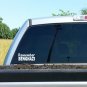 10 Count - REMEMBER BENGHAZI Decal STICKERS AMERICAN GUN GOVERNMENT SALT