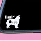Haulin Auss TP 621 Sticker 6" Decal australian shepherd aussie dog show herding Haulin Auss TP 621 Sticker 6" Decal australian shepherd aussie dog show herding