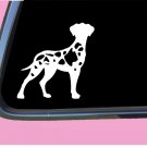 Harlequin Great Dane Uncropped TP 552 vinyl 6" Decal Sticker dog breed