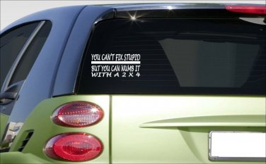 you cant fix stupid numb it 2x4 8" sticker *E975* DECAL joke funny jdm turbo 4x4