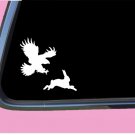 Bird catching prey TP 624 Sticker 6" Decal falconry hawk birds of prey hood Bird catching prey TP 624 Sticker 6" Decal falconry hawk birds of prey hood