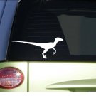 Velociraptor *I065* 8" Sticker decal dinosaur jurassic fossil bone