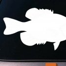 Crappie 6" sticker decal ultra light bait fishing rod reel lure *D691* Crappie 6" sticker decal ultra light bait fishing rod reel lure *D691*