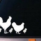 Chicken Family sticker decal vinyl 8.5 Inch farm eggs chickens incubator *D653*