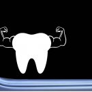 Tooth Arm Bicep M181 6 inch Window Decal dentist hygienist Tooth Arm Bicep M181 6 inch Window Decal dentist hygienist
