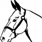 2 LARGE 12.5" MULE STICKERS MIRRORED DECALS HORSE TRAILOR DRAFT MULES *C535*
