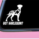 Got Harlequin Great Dane uncropped TP 548 vinyl 6" Decal Sticker mastiff feeder