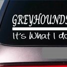 Greyhounds sticker decal *E272* greyhound dogracing dog racing rescue grey hound Greyhounds sticker decal *E272* greyhound dogracing dog racing rescue grey hound