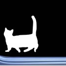 Munchkin Cat Plain M353 6 inch Sticker Decal kitten litterbox catnip Munchkin Cat Plain M353 6 inch Sticker Decal kitten litterbox catnip