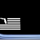 Florida American Flag M195 8 inch Sticker state spring break native beach Florida American Flag M195 8 inch Sticker state spring break native beach