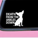 Chihuahua Death from the Ankles Down TP 628 6" dog breed Decal Sticker Chihuahua Death from the Ankles Down TP 628 6" dog breed Decal Sticker