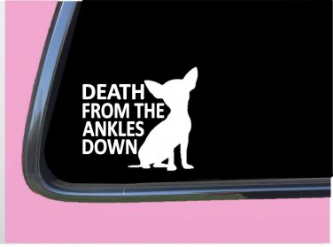 Chihuahua Death from the Ankles Down TP 628 6" dog breed Decal Sticker