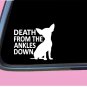 Chihuahua Death from the Ankles Down TP 628 6" dog breed Decal Sticker